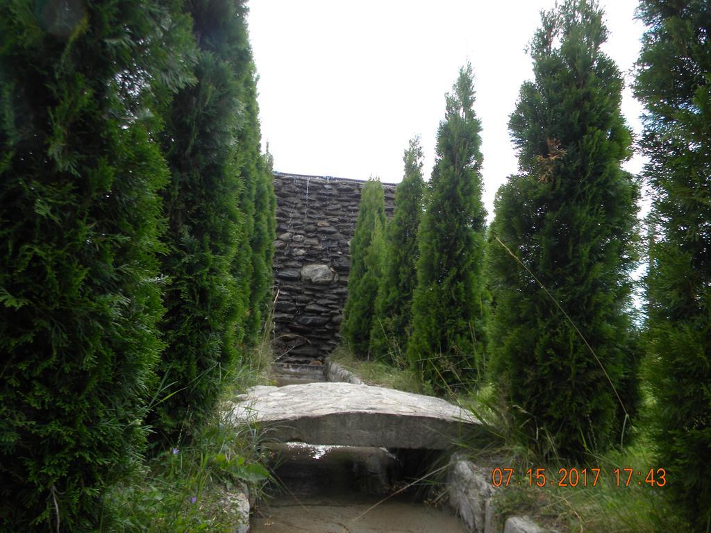 Sîmbăta de Sus Pensiunea Mountain King מראה חיצוני תמונה